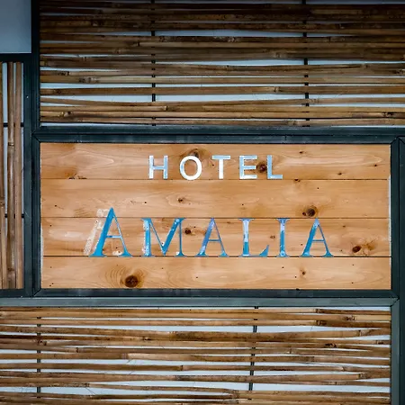 Ξενοδοχείο Amalia Σκόπελος